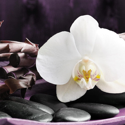 Runa Art Wandbilder Set XXL Feng Shui OrchideeWohnzimmer Schlafzimmer Lila Violett 4 Teilig - Made in Germany - 502345b