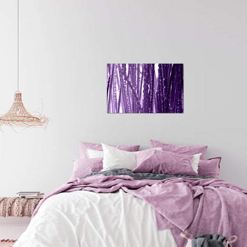 Runa Art Bild Gräser Morgentau Modern Wandbilder Wohnzimmer Schlafzimmer 1 Teilig - Made In Germany - Spa Violett Lila Flur 200715b