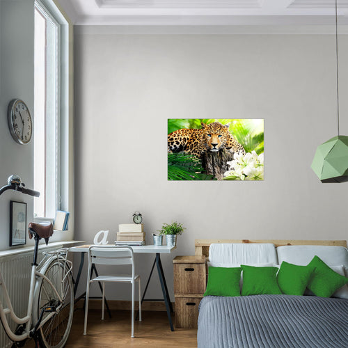 Runa Art Bild Afrika Leopard Modern Wandbilder Wohnzimmer Schlafzimmer 1 Teilig - Made In Germany - Natur Savanne Grün Flur 006715a