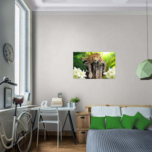 Runa Art Bild Afrika Leopard Modern Wandbilder Wohnzimmer Schlafzimmer 1 Teilig - Made In Germany - Tiere Schwarz Weiss Flur 006715c