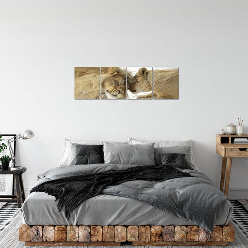 Runa Art Bilder Set 4 Teilig Löwen Liebe Wandbilder XXL Wohnzimmer Schlafzimmer 160 x 50 cm Beige Modern 002146b