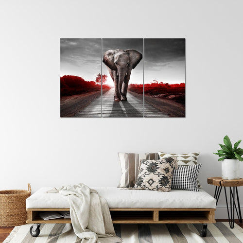 Runa Art Wandbilder Afrika Elefant Bild XXL Wohnzimmer Schlafzimmer Schwarz Weiss Tiere 120 x 80 cm 3 Teilig 042631c