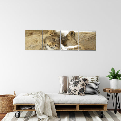 Runa Art Bilder Set 4 Teilig Löwen Liebe Wandbilder XXL Wohnzimmer Schlafzimmer 160 x 50 cm Beige Modern 002146b