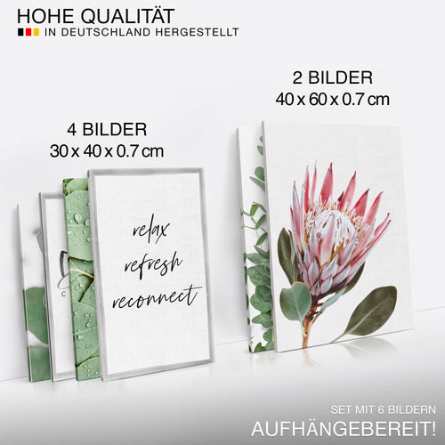 Novart Wandbilder Set Grüne Blätter Pflanze Natur Blumen  - KEIN EXTRA RAHMEN BENÖTIGT -  Modern Deko  - Wohnzimmer Schlafzimmer N005363a