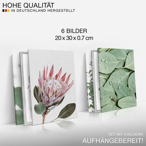 Novart Wandbilder Set Grüne Blätter Pflanze - KOMPLETT AUFHÄNGFERTIG - Made in Germany - Moderne Bilder  Wohnzimmer Schlafzimmer - N005364a