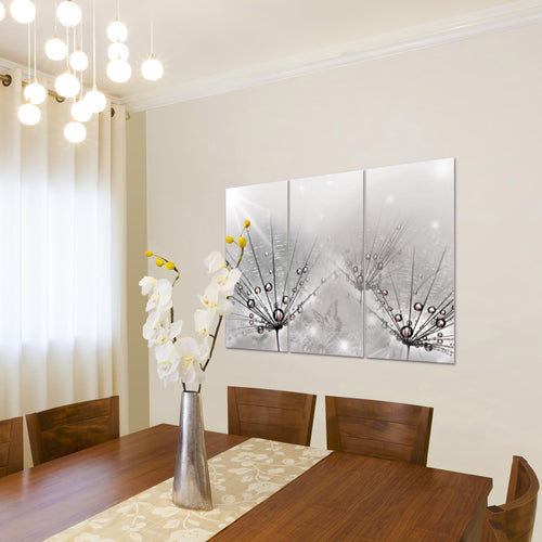 Runa Art Bild Pusteblume Modern Wandbilder Wohnzimmer Schlafzimmer 1 Teilig - Made In Germany - Natur Grau Flur 016915c