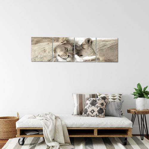 Runa Art Bilder Set 4 Teilig Löwen Liebe Wandbilder XXL Wohnzimmer Schlafzimmer 160 x 50 cm Beige Modern 002146b