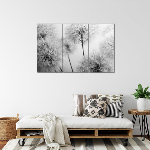 Runa Art Wandbilder Blumen Pusteblumen Bild XXL Wohnzimmer Schlafzimmer Schwarz Weiss Natur 120 x 80 cm 3 Teilig 042031c