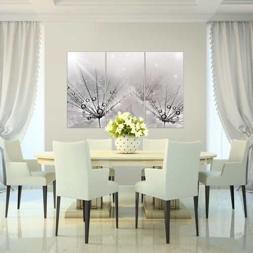 Runa Art Bild Pusteblume Modern Wandbilder Wohnzimmer Schlafzimmer 1 Teilig - Made In Germany - Natur Grau Flur 016915c