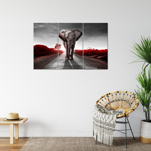 Runa Art Wandbilder Afrika Elefant Bild XXL Wohnzimmer Schlafzimmer Braun Tiere 120 x 80 cm 3 Teilig 042631a