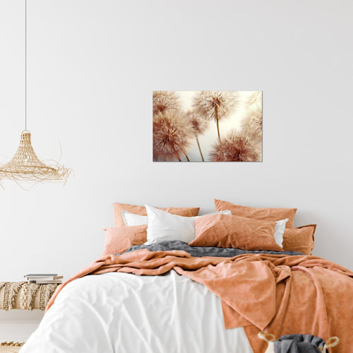 Runa Art Bild Blumen Pusteblumen Modern Wandbilder Wohnzimmer 1 Teilig - Made In Germany - Natur Grau Rosa Flur 042015a