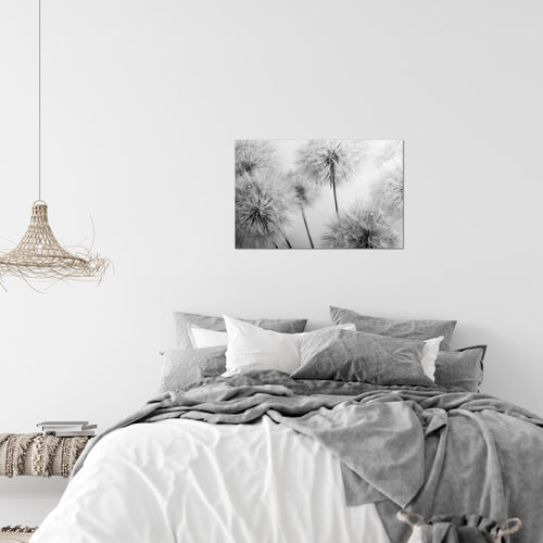 Runa Art Bild Blumen Pusteblumen Modern Wandbilder Wohnzimmer 1 Teilig - Made In Germany - Natur Grau Rosa Flur 042015a