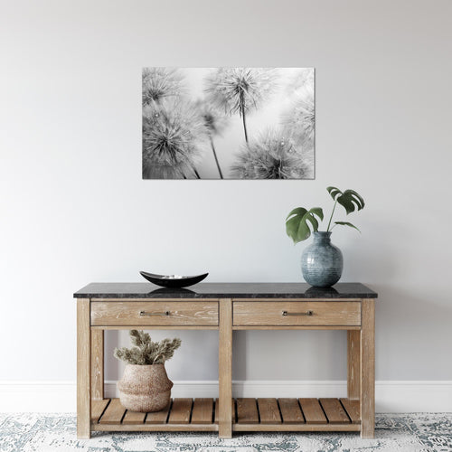Runa Art Bild Blumen Pusteblumen Modern Wandbilder Wohnzimmer 1 Teilig - Made In Germany - Natur Beige Flur 042015b