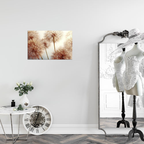 Runa Art Bild Blumen Pusteblumen Modern Wandbilder Wohnzimmer 1 Teilig - Made In Germany - Natur Schwarz Weiss Flur 042015c