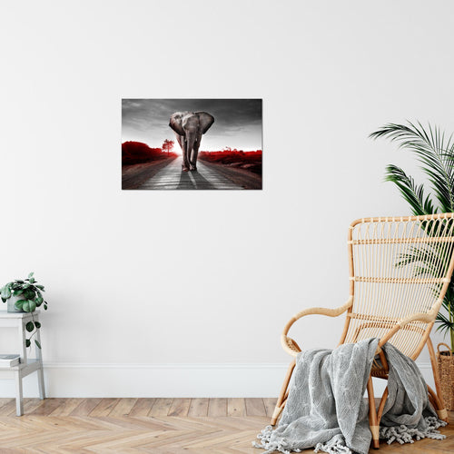 Runa Art Bild Afrika Elefant Modern Wandbilder Wohnzimmer Schlafzimmer 1 Teilig - Made In Germany - Tiere Rot Grau Flur 042615b