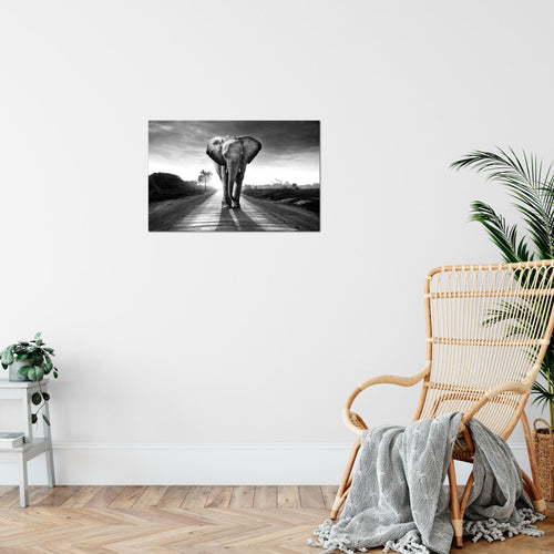 Runa Art Bild Afrika Elefant Modern Wandbilder Wohnzimmer Schlafzimmer 1 Teilig - Made In Germany - Tiere Schwarz Weiss Flur 042615c