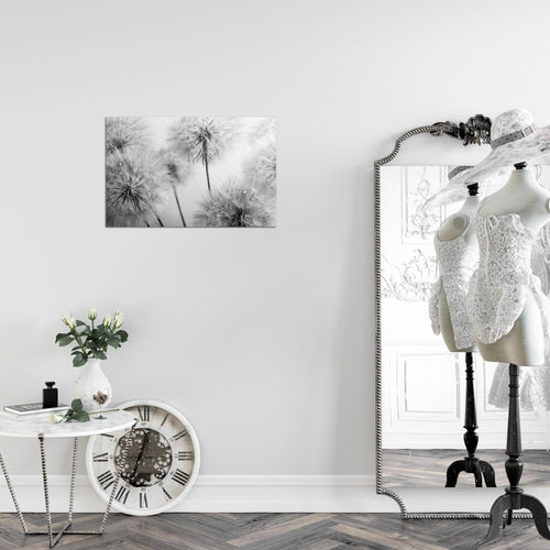 Runa Art Bild Blumen Pusteblumen Modern Wandbilder Wohnzimmer 1 Teilig - Made In Germany - Natur Beige Flur 042015b