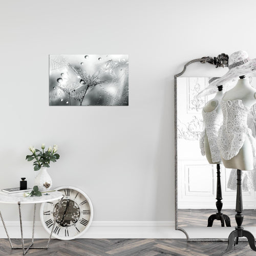 Runa Art Bild Blumen Pusteblumen Modern Wandbilder Wohnzimmer 1 Teilig - Made In Germany - Morgentau Rosa Grau Flur 043115b