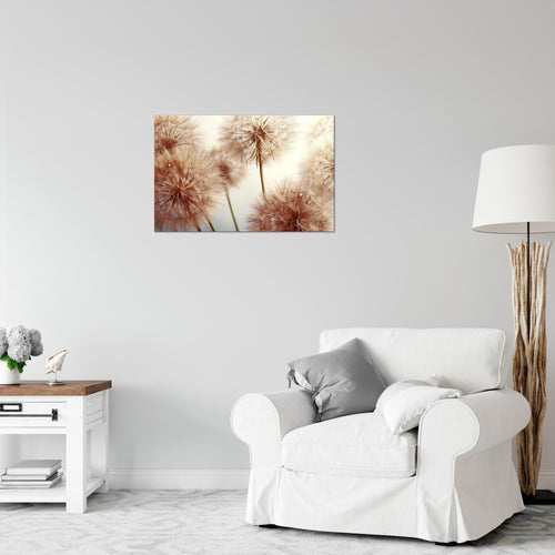 Runa Art Bild Blumen Pusteblumen Modern Wandbilder Wohnzimmer 1 Teilig - Made In Germany - Natur Grau Rosa Flur 042015a