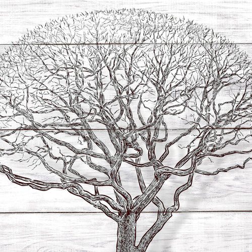 Runa Art Bild Abstrakt Baum Modern Wandbilder Wohnzimmer Schlafzimmer 1 Teilig - Made In Germany - Holz Schwarz Weiss Flur 108915b