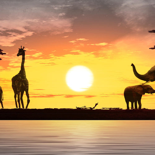 Runa Art - Bilder Afrika 200 x 100 cm 5 Teilig XXL Wanddekoration Design Sonnenuntergang Orange 000251a