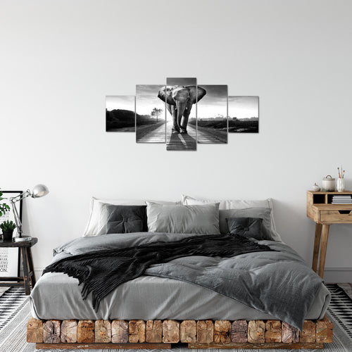 Runa Art Bild Wohnzimmer Schlafzimmer Afrika Elefant 5 Teilig Tiere Schwarz Weiss Wandbilder auf Vlies Leinwand 042653c