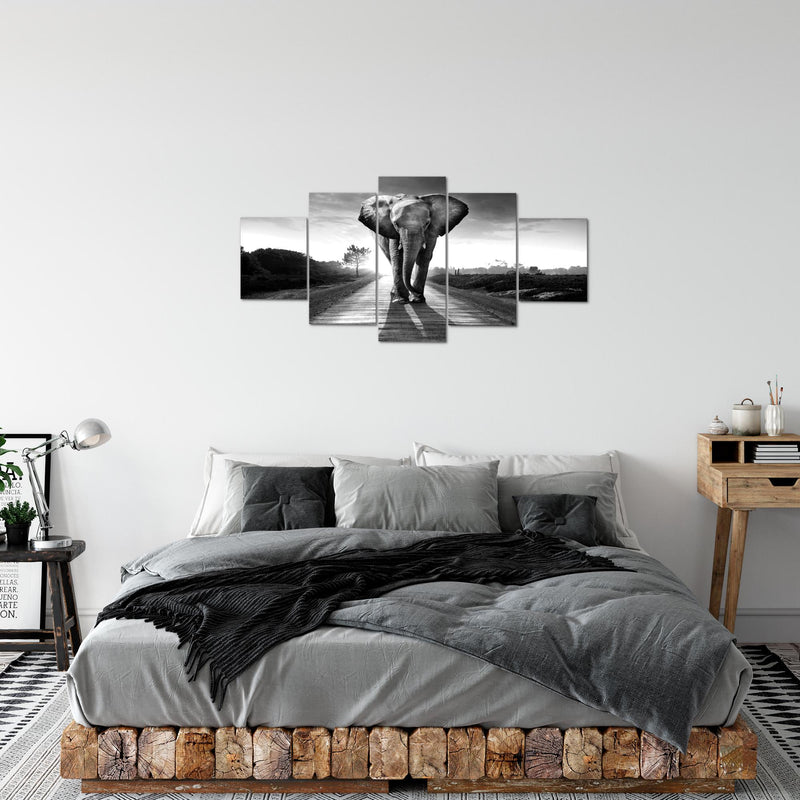 Runa Art Bild Wohnzimmer Schlafzimmer Afrika Elefant 5 Teilig Tiere Schwarz Weiss Wandbilder auf Vlies Leinwand 042653c