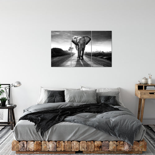 Runa Art Wandbilder Afrika Elefant Bild XXL Wohnzimmer Schlafzimmer Schwarz Weiss Tiere 120 x 80 cm 3 Teilig 042631c