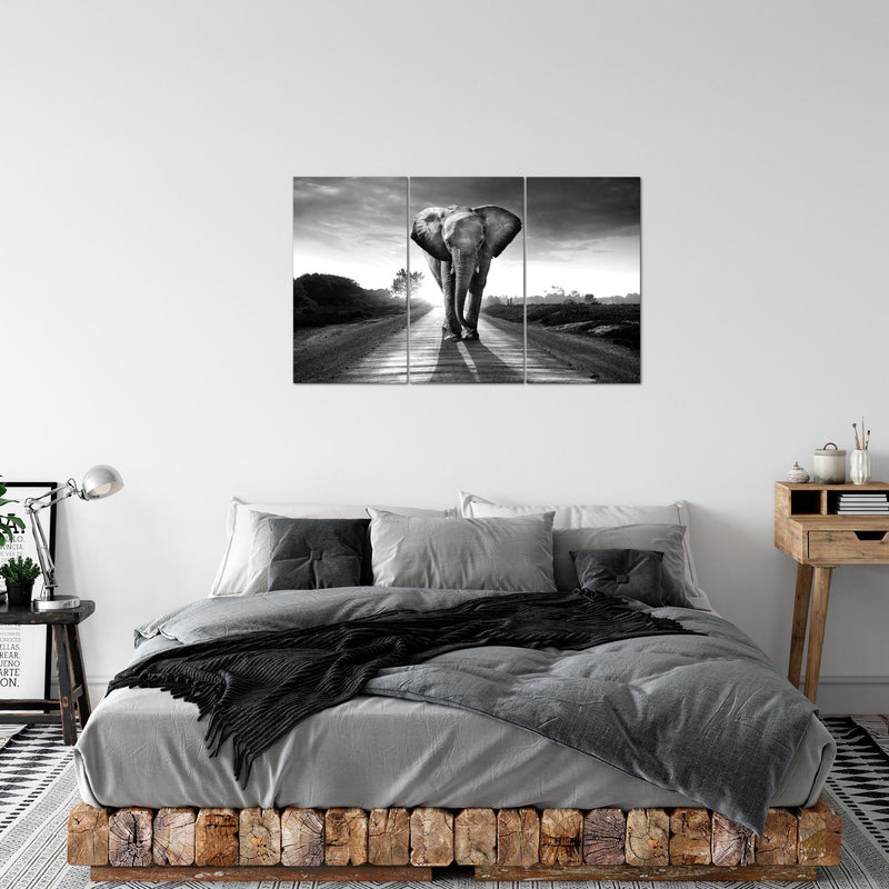 Runa Art Wandbilder Afrika Elefant Bild XXL Wohnzimmer Schlafzimmer Schwarz Weiss Tiere 120 x 80 cm 3 Teilig 042631c