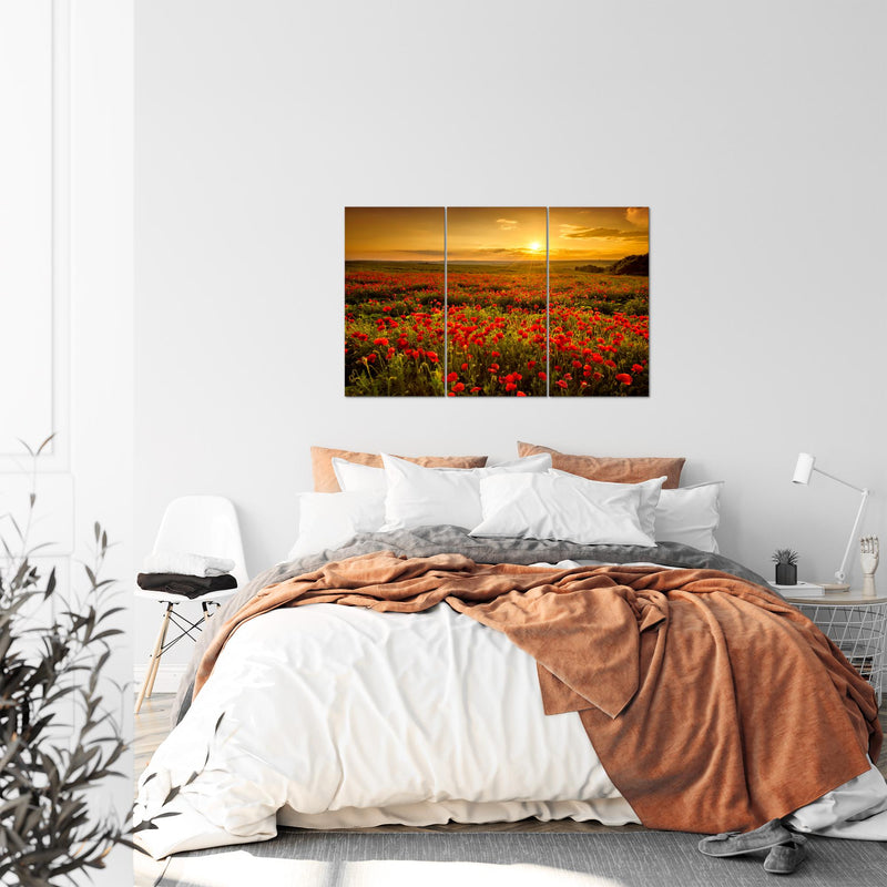 Runa Art Wandbilder Mohnblumen Bild XXL Wohnzimmer Schlafzimmer Rot Blumenwiese Sonnenutergang 120 x 80 cm 3 Teilig 043931a