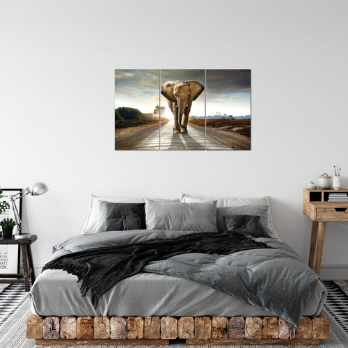 Runa Art Wandbilder Afrika Elefant Bild XXL Wohnzimmer Schlafzimmer Braun Tiere 120 x 80 cm 3 Teilig 042631a