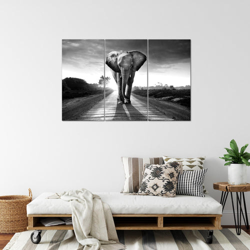 Runa Art Wandbilder Afrika Elefant Bild XXL Wohnzimmer Schlafzimmer Schwarz Weiss Tiere 120 x 80 cm 3 Teilig 042631c
