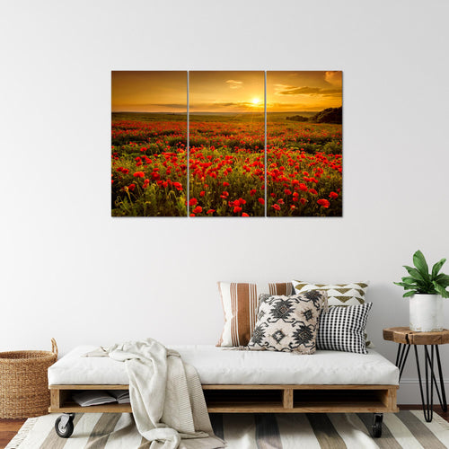 Runa Art Wandbilder Mohnblumen Bild XXL Wohnzimmer Schlafzimmer Rot Blumenwiese Sonnenutergang 120 x 80 cm 3 Teilig 043931a
