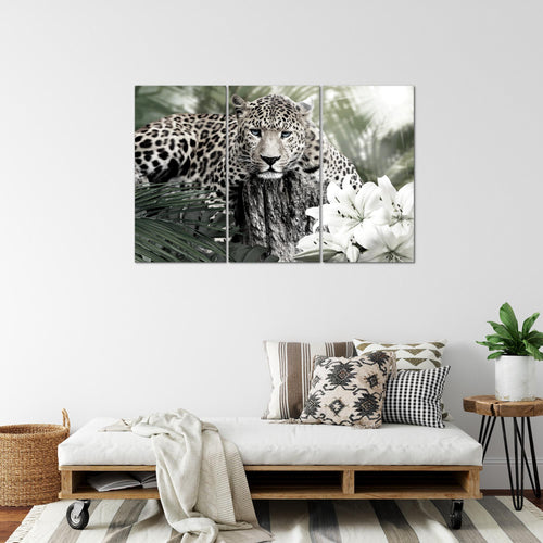 Runa Art Wandbilder Afrika Leopard Bild XXL Wohnzimmer Schlafzimmer Schwarz Weiss Tiere 120 x 80 cm 3 Teilig 006731c