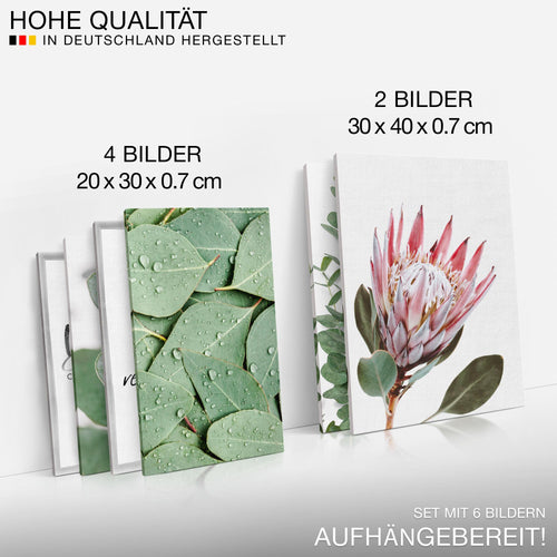 Novart Wandbilder Set Grüne Blätter Pflanze Natur Blumen  - KEIN EXTRA RAHMEN BENÖTIGT -  Modern Deko  - Wohnzimmer Schlafzimmer N005363a