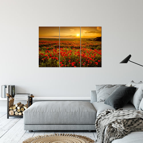 Runa Art Wandbilder Mohnblumen Bild XXL Wohnzimmer Schlafzimmer Rot Blumenwiese Sonnenutergang 120 x 80 cm 3 Teilig 043931a