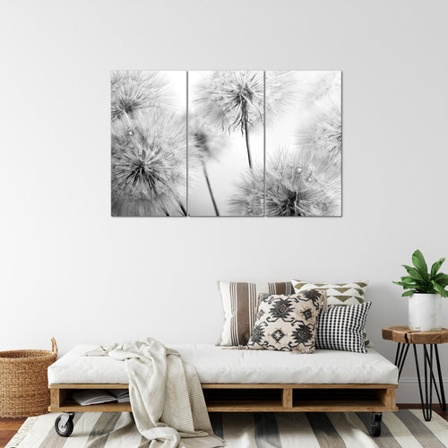 Runa Art Wandbilder Blumen Pusteblumen Bild XXL Wohnzimmer Schlafzimmer Schwarz Weiss Natur 120 x 80 cm 3 Teilig 042031c