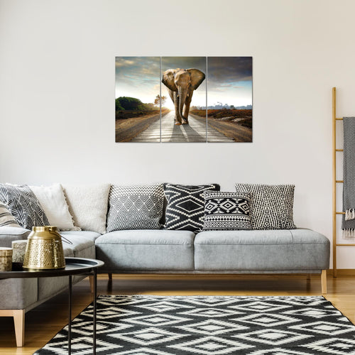 Runa Art Wandbilder Afrika Elefant Bild XXL Wohnzimmer Schlafzimmer Braun Tiere 120 x 80 cm 3 Teilig 042631a