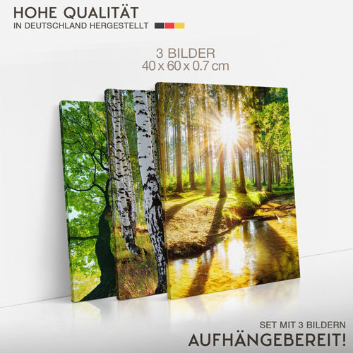 Novart Bilder Set Landschaft - KEIN EXTRA RAHMEN BENÖTIGT - Wandbilder für Wohnzimmer Schlafzimmer Büro - 3 Teilig Deko Waldweg - N036636a