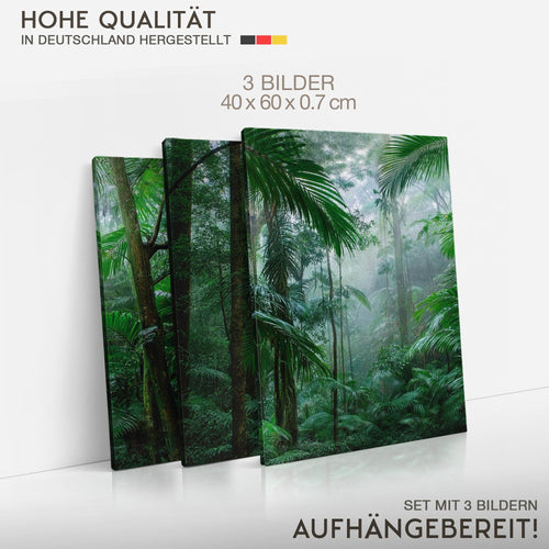 Novart Bilder Set Landschaft - KEIN EXTRA RAHMEN BENÖTIGT - Wandbilder für Wohnzimmer Schlafzimmer Büro - 3 Teilig Deko Dschungel - N042936a