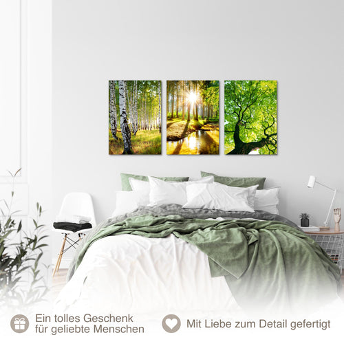 Novart Bilder Set Landschaft - KEIN EXTRA RAHMEN BENÖTIGT - Wandbilder für Wohnzimmer Schlafzimmer Büro - 3 Teilig Deko Waldweg - N036636a