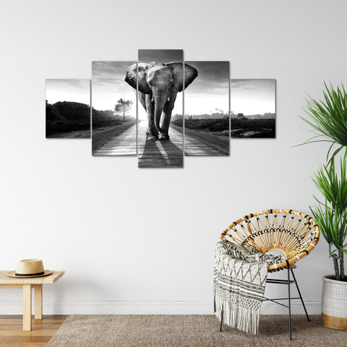 Runa Art Bild Wohnzimmer Schlafzimmer Afrika Elefant 5 Teilig Tiere Schwarz Weiss Wandbilder auf Vlies Leinwand 042653c
