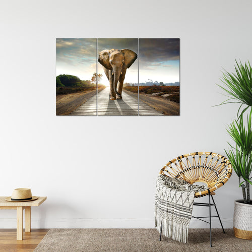 Runa Art Wandbilder Afrika Elefant Bild XXL Wohnzimmer Schlafzimmer Braun Tiere 120 x 80 cm 3 Teilig 042631a