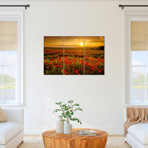 Runa Art Wandbilder Mohnblumen Bild XXL Wohnzimmer Schlafzimmer Rot Blumenwiese Sonnenutergang 120 x 80 cm 3 Teilig 043931a