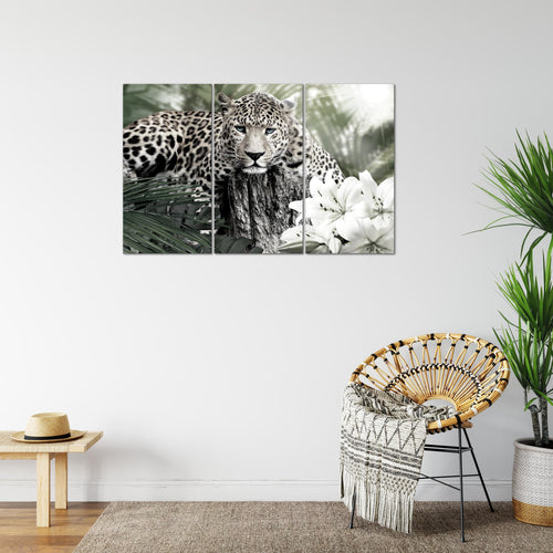 Runa Art Wandbilder Afrika Leopard Bild XXL Wohnzimmer Schlafzimmer Schwarz Weiss Tiere 120 x 80 cm 3 Teilig 006731c