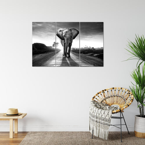 Runa Art Wandbilder Afrika Elefant Bild XXL Wohnzimmer Schlafzimmer Schwarz Weiss Tiere 120 x 80 cm 3 Teilig 042631c