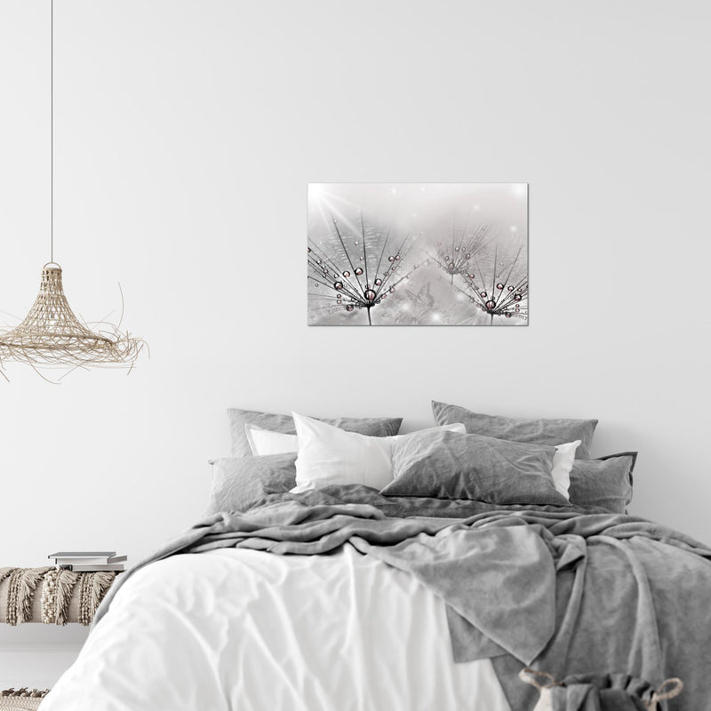 Runa Art Bild Pusteblume Modern Wandbilder Wohnzimmer Schlafzimmer 1 Teilig - Made In Germany - Natur Grau Flur 016915c