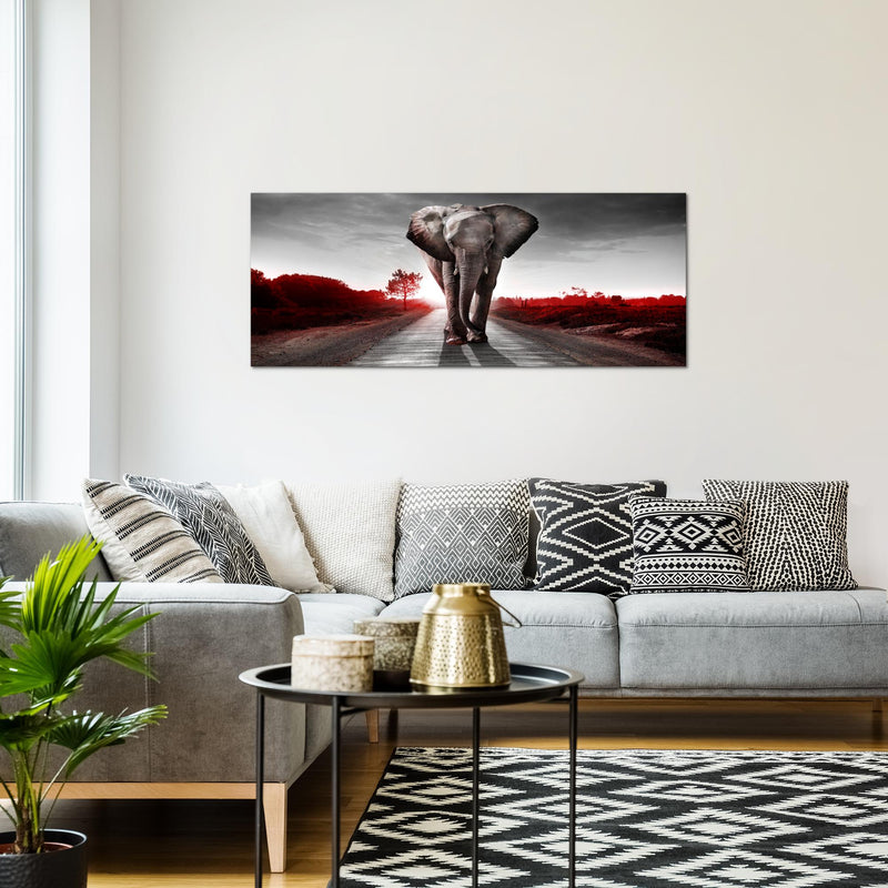 Runa Art Wandbild Afrika Elefant 100 x 40 cm Modern Bild auf Vlies Leinwand Tiere Wohnzimmer Schlafzimmer Rot Grau 042612b
