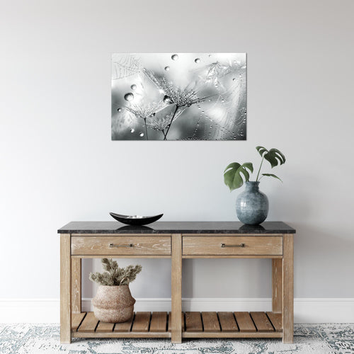 Runa Art Bild Blumen Pusteblumen Modern Wandbilder Wohnzimmer 1 Teilig - Made In Germany - Morgentau Schwarz Weiss Flur 043115c