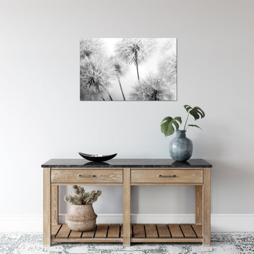 Runa Art Bild Blumen Pusteblumen Modern Wandbilder Wohnzimmer 1 Teilig - Made In Germany - Natur Schwarz Weiss Flur 042015c